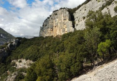 Trail Walking Saint-Cézaire-sur-Siagne - site escalade des Malines - Photo
