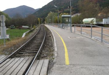 Percorso A piedi Gemeinde Waldegg - Wopfing: Um den Sulzberg Rundwanderweg - Photo