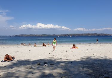 Tocht Stappen Camaret-sur-Mer - Cabaret Pen Hir - Photo