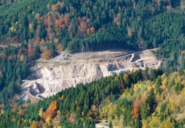 Percorso A piedi Baiersbronn - Seibelseckle - Schönmünzach - Photo