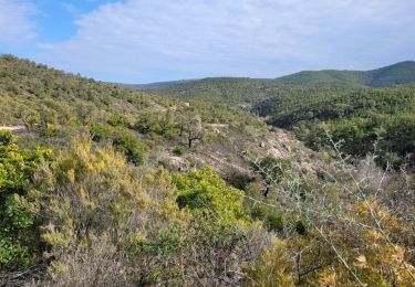 Tour Wandern Roquebrune-sur-Argens - Massif flute - Photo