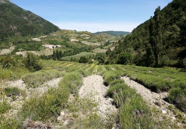 Trail Walking Chaudebonne - la serre de crema - Photo