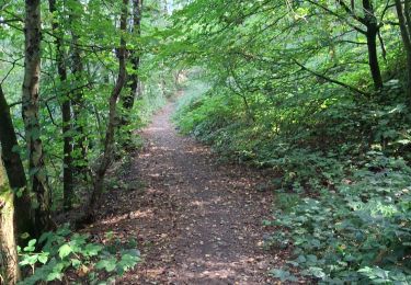 Trail Walking Raismes - Raidmes la marre à Goriaux et le terril - Photo