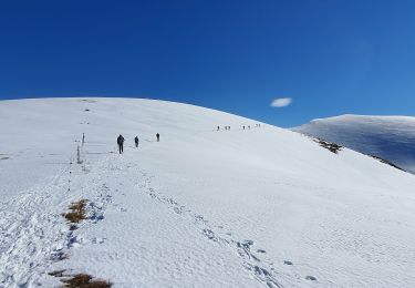 Randonnée Marche Mayrègne - Sommet d'Antenac EN BOUCLE - Photo
