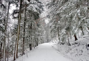 Trail On foot Gomadingen - Hohenzollernweg - Wanderweg - Photo