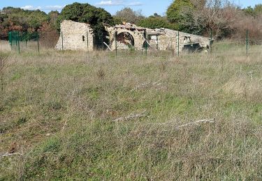 Randonnée Marche Plan-d'Aups-Sainte-Baume - Dent de la Roque Forcade après reco  - Photo