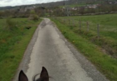 Tocht Paardrijden Rochefort - départ navaugle vers serinchamps - Photo