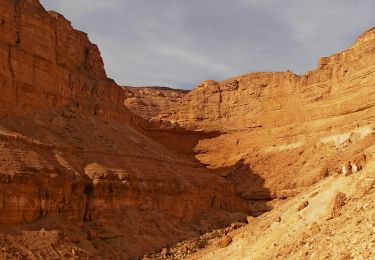 Percorso A piedi מועצה אזורית ערבה תיכונה - IL-14280 - Photo