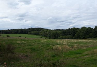 Tocht Stappen Sprimont - Fond des Trois Bois - Photo