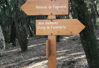Trail Walking Mougins - Circuit de Fugureit - Photo