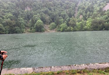 Tocht Stappen Rimbach-près-Masevaux - Lac des perches - Photo