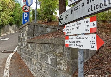 Tour Zu Fuß Gaggio Montano - IT-347 - Photo