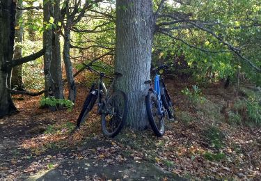 Randonnée Vélo électrique Saint-Clément - sortie vtt 01112022 manonviller - Photo