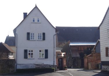 Tour Zu Fuß Lich - Residenzenring - Photo