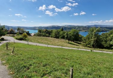 Percorso Marcia Aiguebelette-le-Lac - Savoie_Aiguebelette_Circuit_LesAllemands - Photo