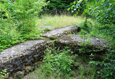 Tocht Te voet Ringgau - Datteröder Burgweg - Photo