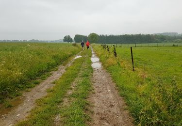 Trail Walking Florennes - 2019-06-15 Rosée 30 km - Photo