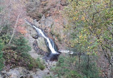 Tour Wandern Malmedy - Xhoffraix - Photo