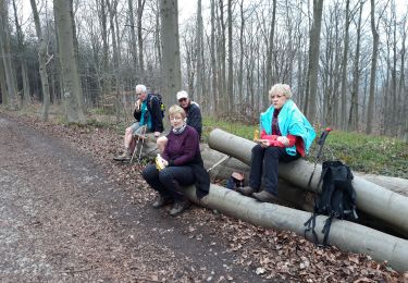 Trail Walking Namur - 2020 03 16 - Photo