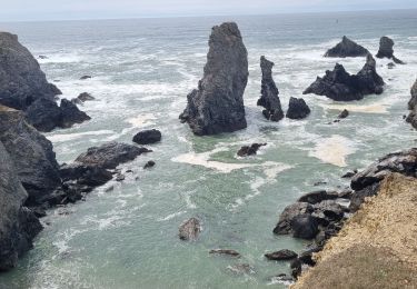 Percorso Marcia Sauzon - Belle île les Poulains grand phare 18 mai 2022 CA  - Photo