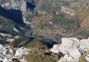 Tour Wandern Castellane - robion castellane 1226m 15k - Photo