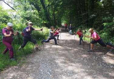 Tour Nordic Walking Vif - Circuit plaine de Reymure en circuit - Photo