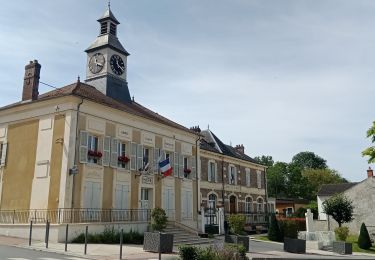 Tour Wandern Montreuil-aux-Lions - Montreuil-aux-Lions du 20-07-2024 - Photo