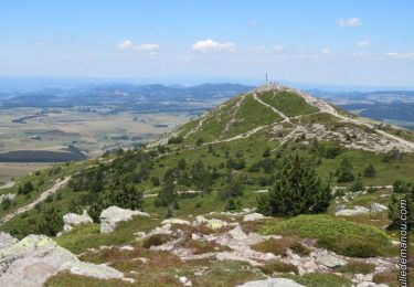 Randonnée Marche Borée - Tour du Mont Mézenc 15km. - Photo