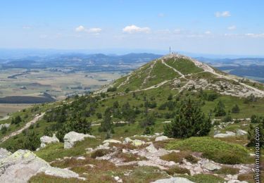 Tour Wandern Borée - 2022-06-27_19h04m40_Tour du Mont Mézenc 15km.gpx.xml - Photo