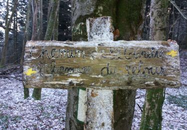 Trail Walking Entrelacs - sapenay grande cuve... live - Photo