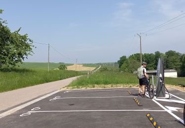 Randonnée Vélo électrique Saint-Clément - sortie vtt 21052023 baccarat par Fontenoy - Photo