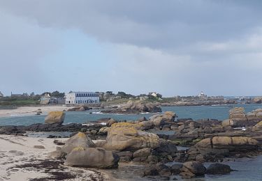 Trail Walking Plounéour-Brignogan-Plages - brignogan - Photo