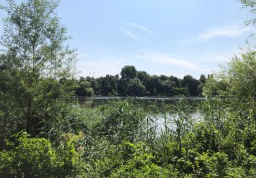 Randonnée Vélo de route Rixensart - Promenade verte - Photo