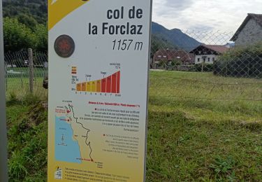 Tocht Elektrische fiets Doussard - col de Forclas tour du lac d Annecy  - Photo