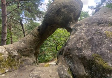 Tocht sport Fontainebleau - Mont ussy 3 août 2024  - Photo