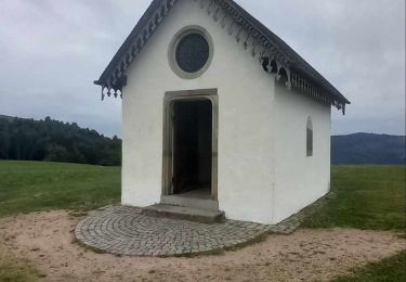 Tour Wandern Le Thillot - Le thillot La chapelle des Vés, l he haut de la lochère - Photo