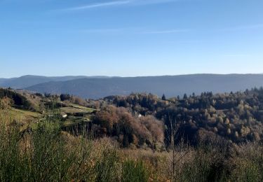 Excursión Marcha nórdica Basse-sur-le-Rupt - Planois - Le haut du Roc  - Photo