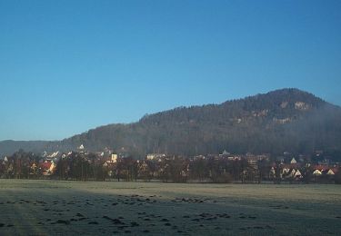 Tocht Te voet Pommelsbrunn - Hohenstadt Rundweg 2 - Reh-Markierung - Photo