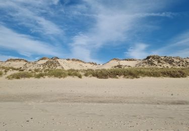 Tour Wandern Lacanau - la cabane 2 - Photo