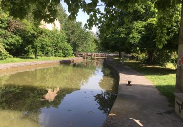 Tocht Stappen Gardouch - Le canal du Midi - Photo