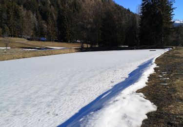 Percorso Camminata nordica Arbaz - Étang de Lombardon - Photo