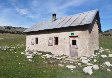 Trail Walking Chichilianne - la cabane de l'essaure - Photo