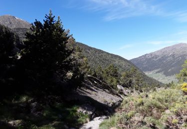 Trail Walking  - col Fontargenta  - Photo