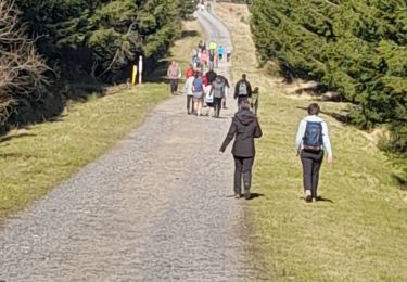 Tour Wandern Saint-Hubert - Marche ADEPS 11km à  Saint-Hubert - Photo