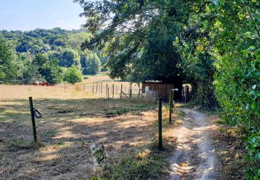 Tour Wandern Rixensart - Bourgeois - Ohain - Lasne - Photo