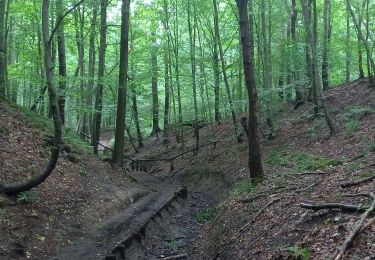 Tocht Stappen Watermaal-Bosvoorde - 2020.09.30.P - Photo