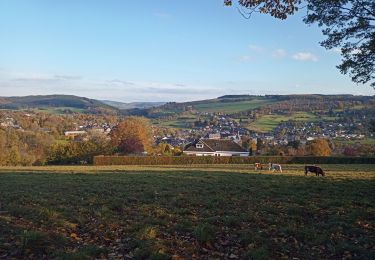 Tocht Stappen Stoumont - Le Roannay, le mont des Brumes, la fagne - Photo