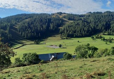 Tocht Stappen Beuil - Mont Garnier - Photo