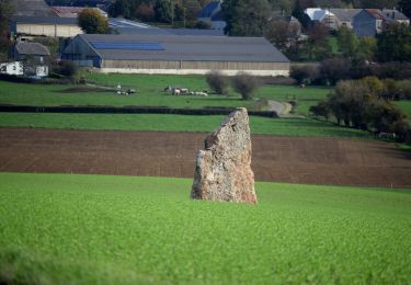 Tocht Te voet Durbuy - Ozo-Izier - Agrarische wandeling -Op ontdekking van de kazen van Ozo - Photo