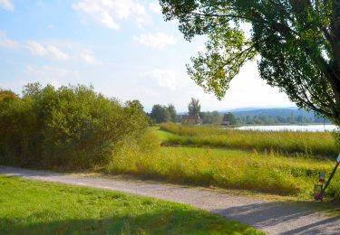 Trail On foot Uster - Niederuster - Wetzikon - Photo